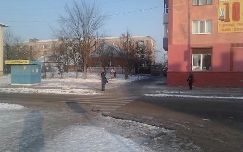 Сарненський морж