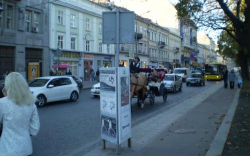 Кінна екскурсія центром Львова