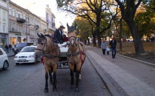 Кінна екскурсія центром Львова