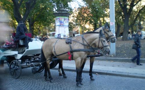 Кінна екскурсія центром Львова